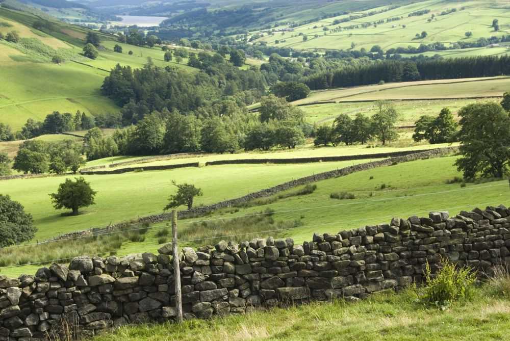 The Nidderdale Way