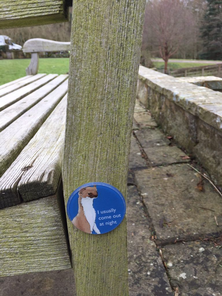 Sammy the Stoat appears on benches around the site, for younger visitors to find