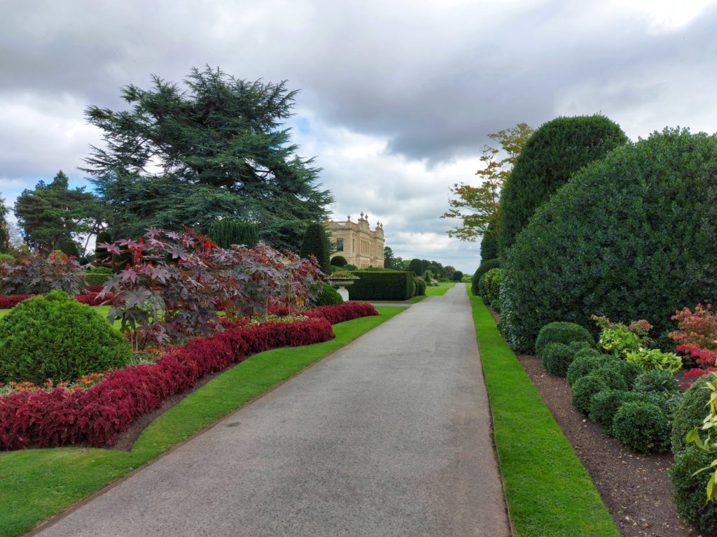 A hot planting scheme in the gardens reflects the caribbean themes of the exhibition