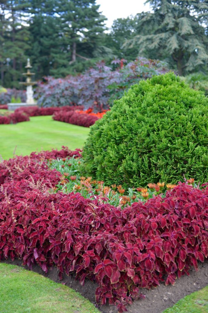 The planting scheme reflects the content of the exhibition (image © Sarah K Jackson)